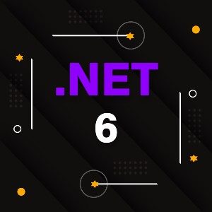 .net 6
